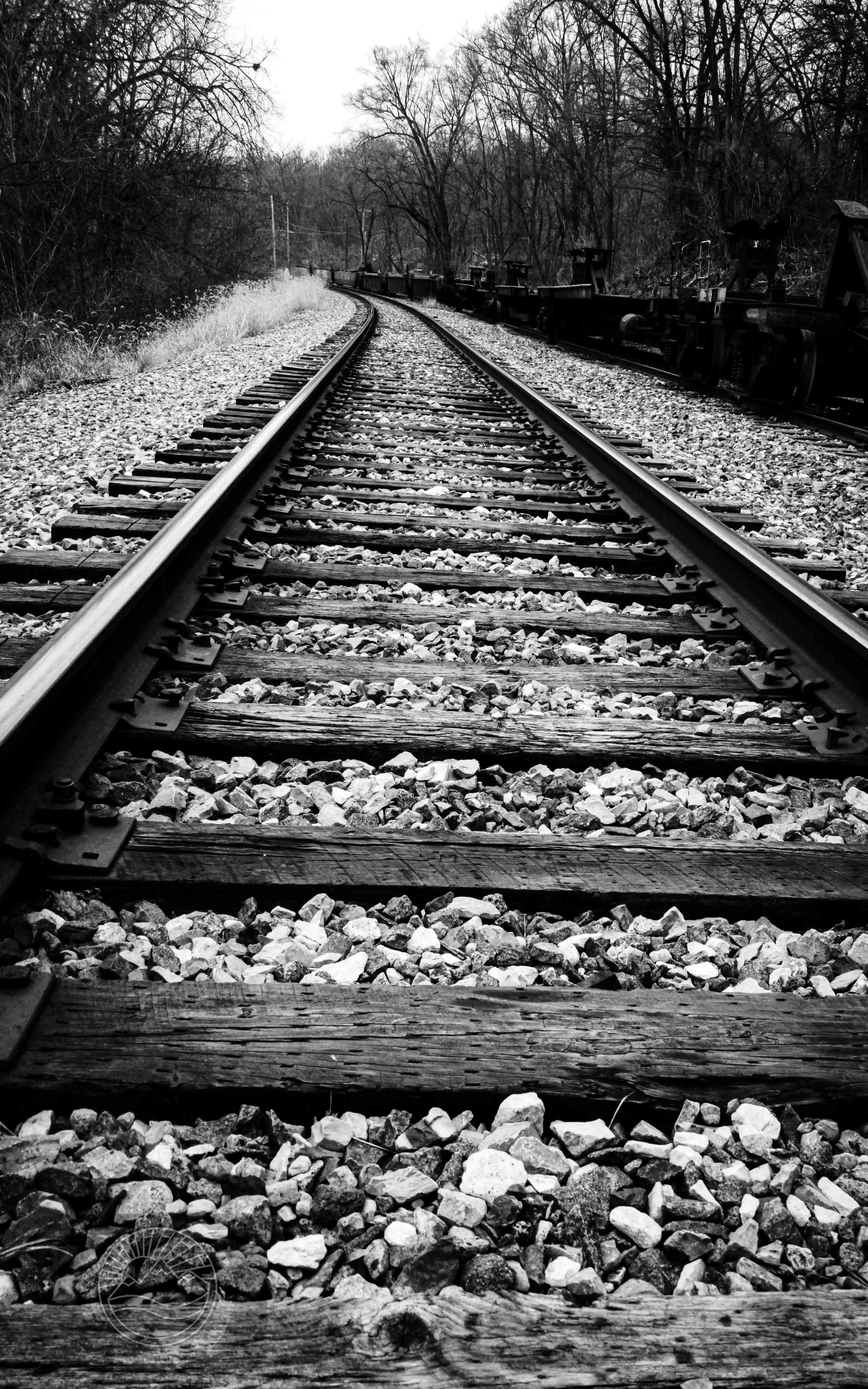 Stone Wood and Steel